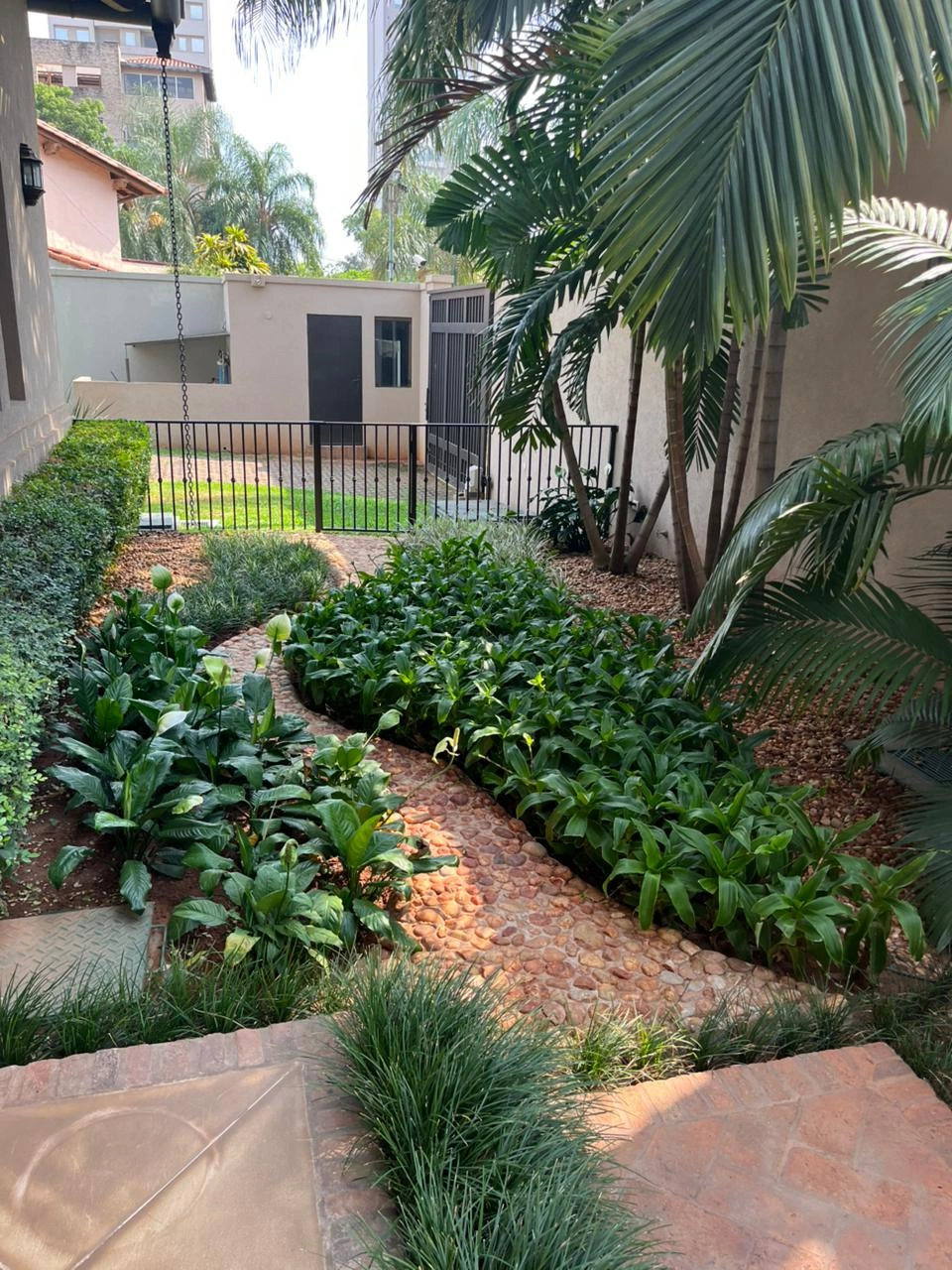 Arboricultura