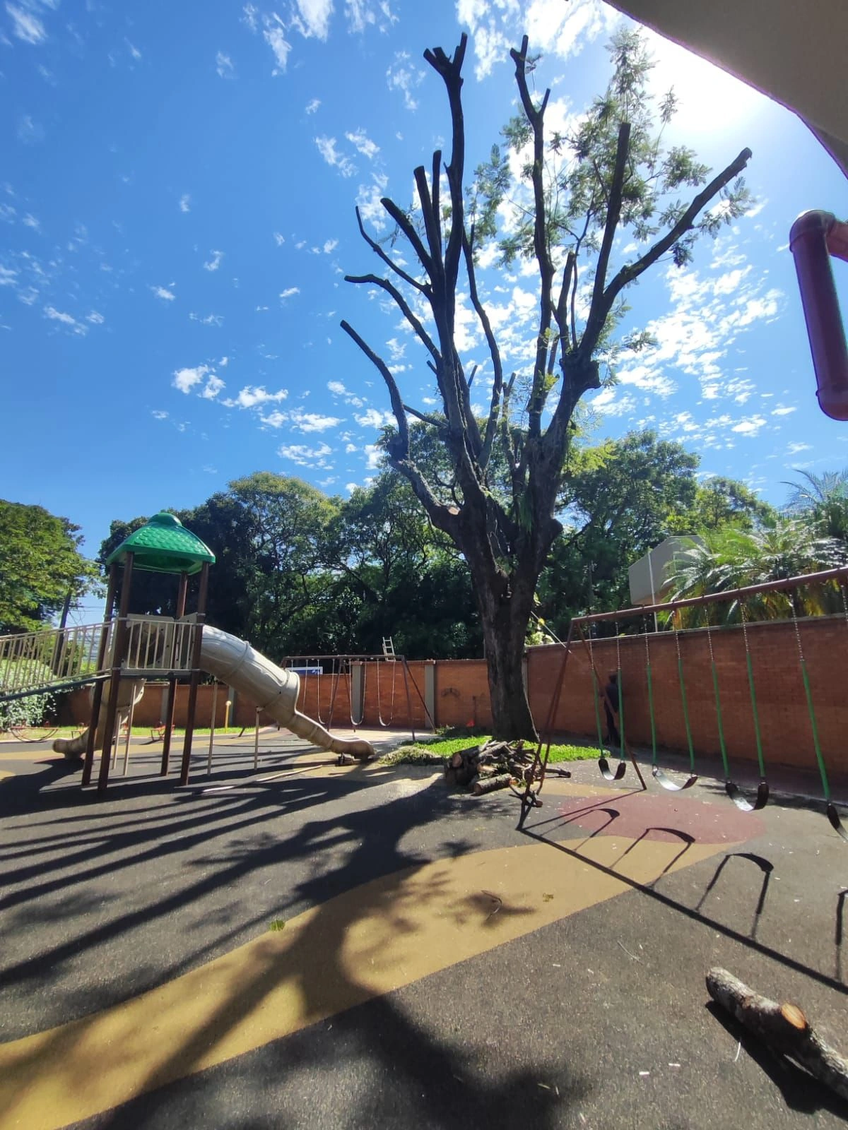 Jardinería