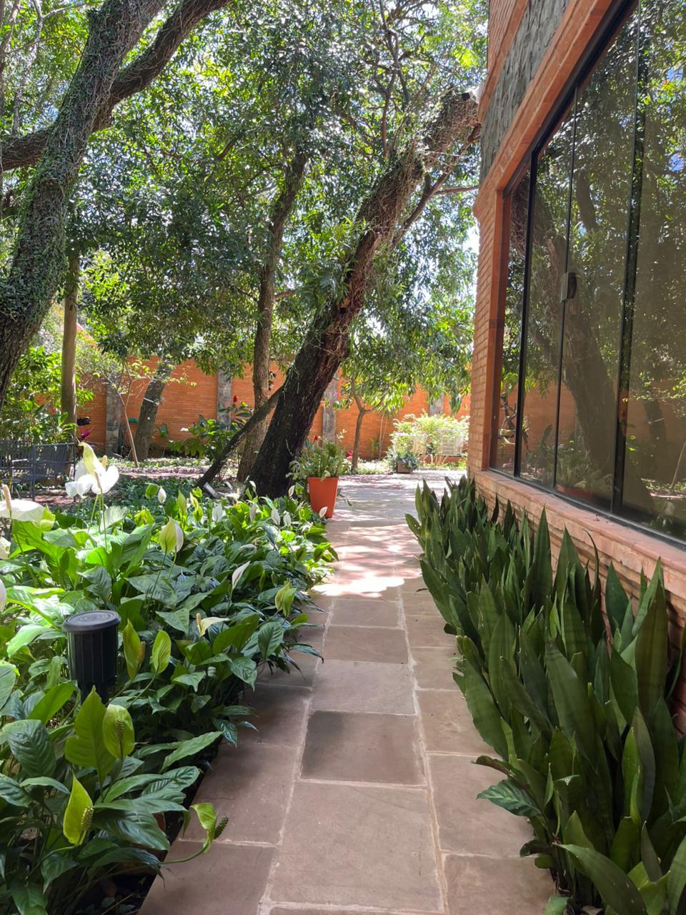 Diseño de Jardín