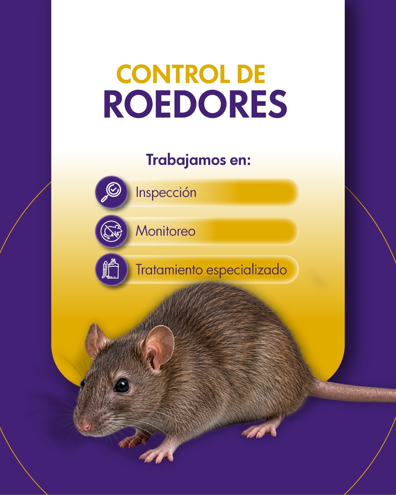 Control de Roedores